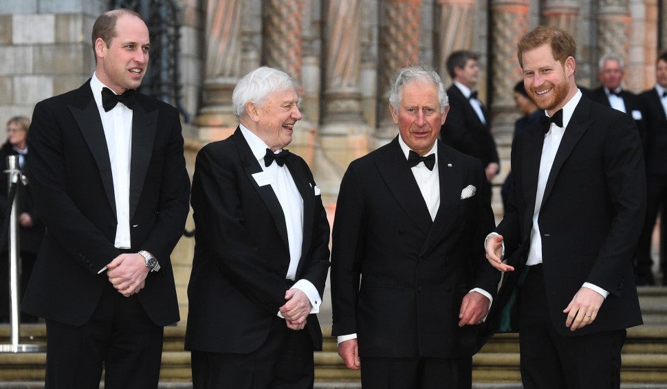 Prince William Prince Charles Prince Harry David Attenborough
