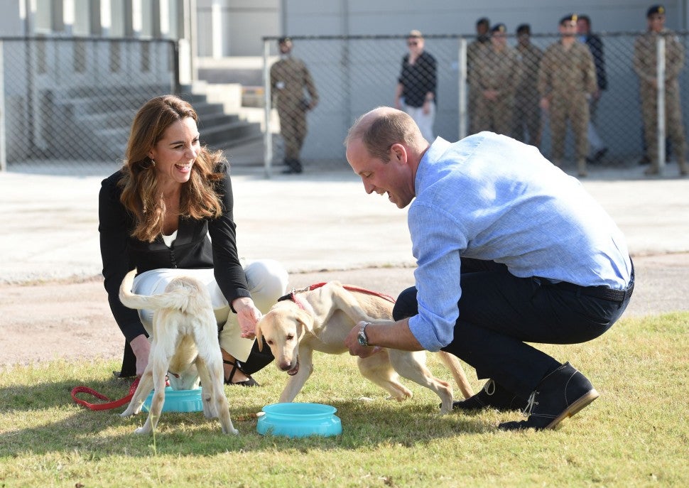 Kate Middleton visits an Army Canine Centre with Prince William