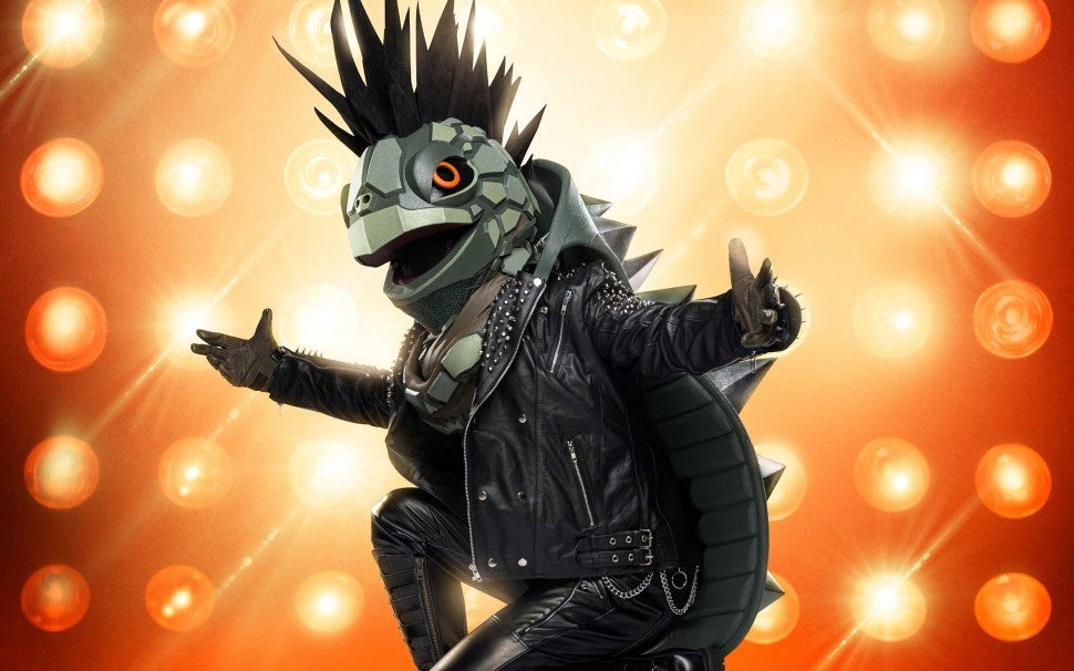 The Turtle on The Masked Singer
