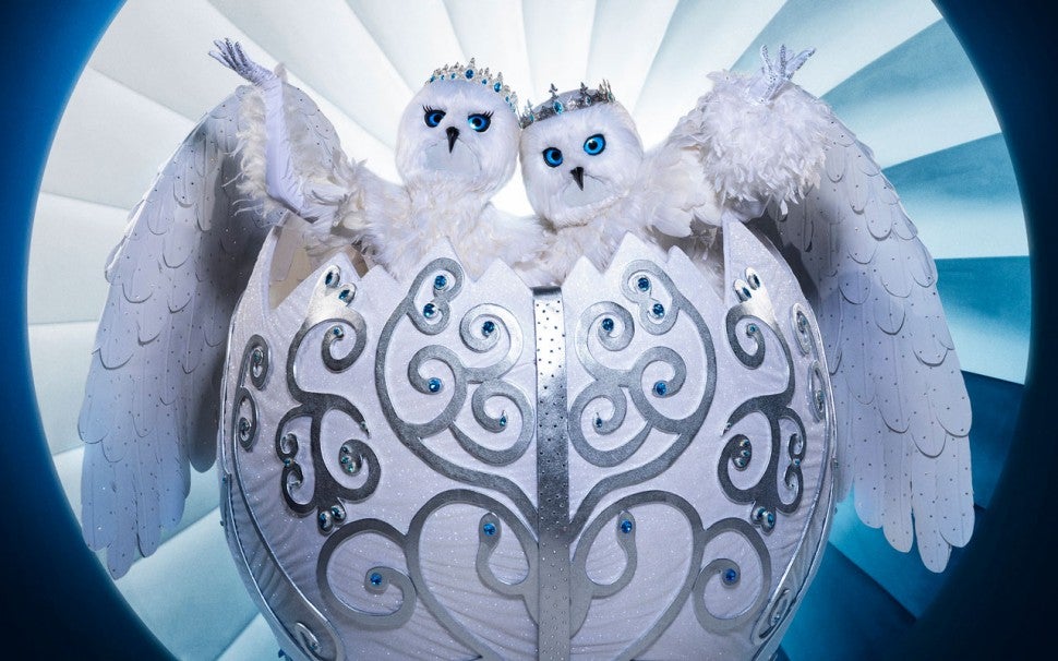 The Snow Owls