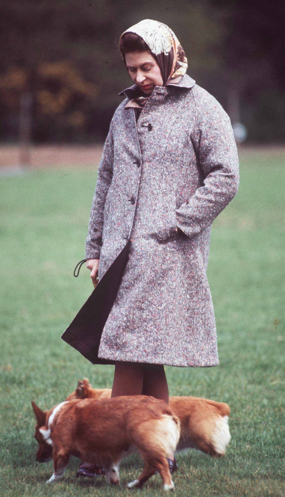 Queen Elizabeth II With Two Of Her Corgis In The Grounds Of Windsor Castle