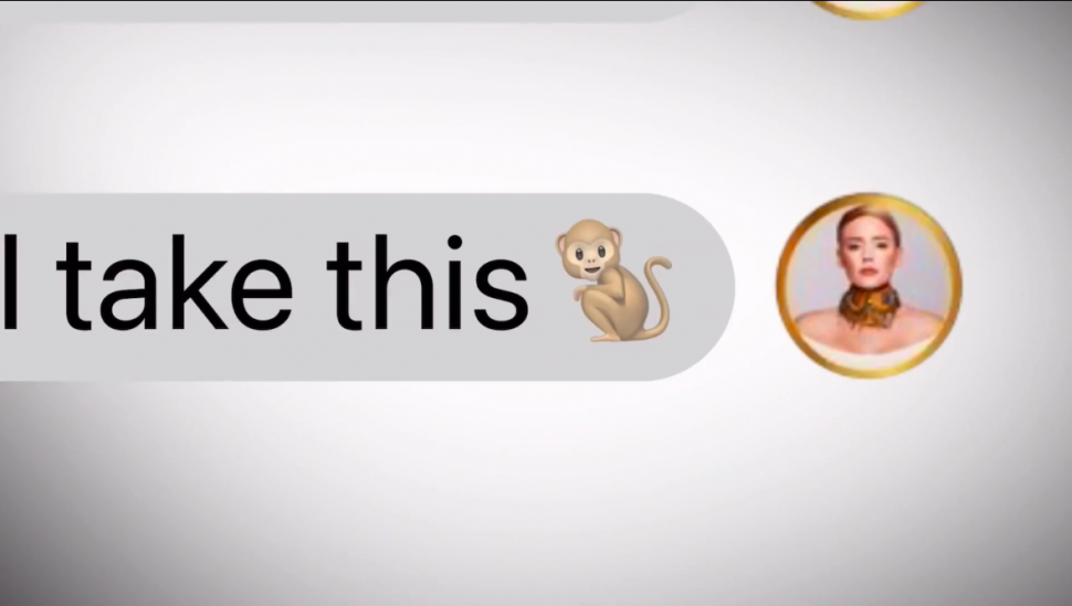 Kathryn Dennis' use of a monkey emoji, which was deemed racist.