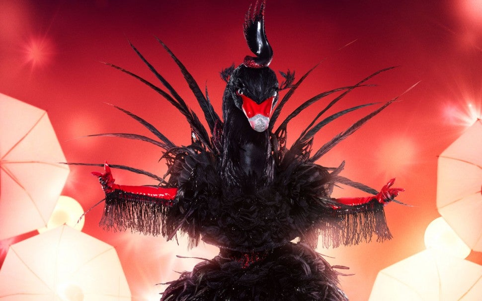 The Black Swan on The Masked Singer
