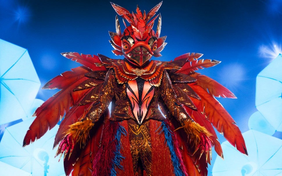 The Phoenix on The Masked Singer