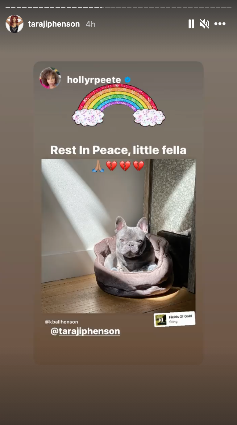 Holly Robinson Peete shares tribute to Taraji P Henson's dog