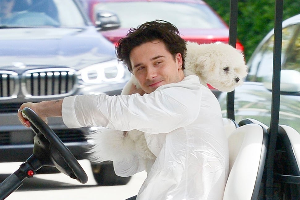 Brooklyn Beckham was seen driving a golf cart while holding a white dog, just hours before he walks down the aisle with his imminent wife to be, Nicola Peltz