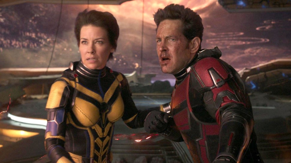 Evangeline Lilly Wants the Wasp to Get a Standalone Film