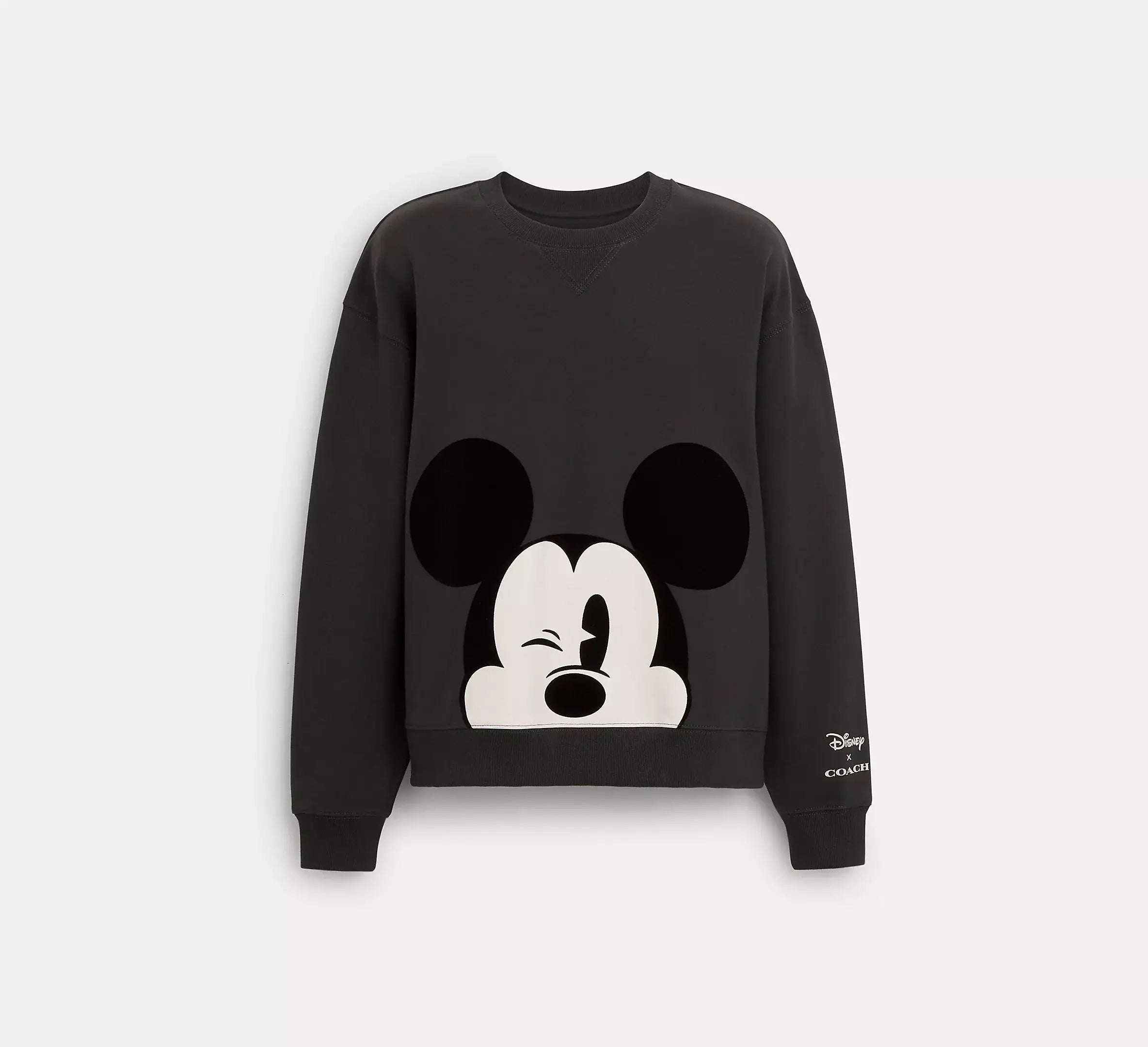 The Disney x Coach Holiday Collection: Shop Holiday Gifts for the 