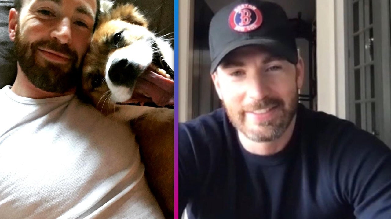 New Photo - Chris Evans Shares How His Dog Participates in His Workout Routine and When His Diet Consists of 'Junk Food'
