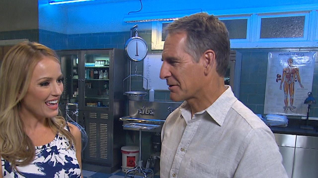 'NCIS New Orleans' Cast Gives HeartPounding Tour of the Big Easy