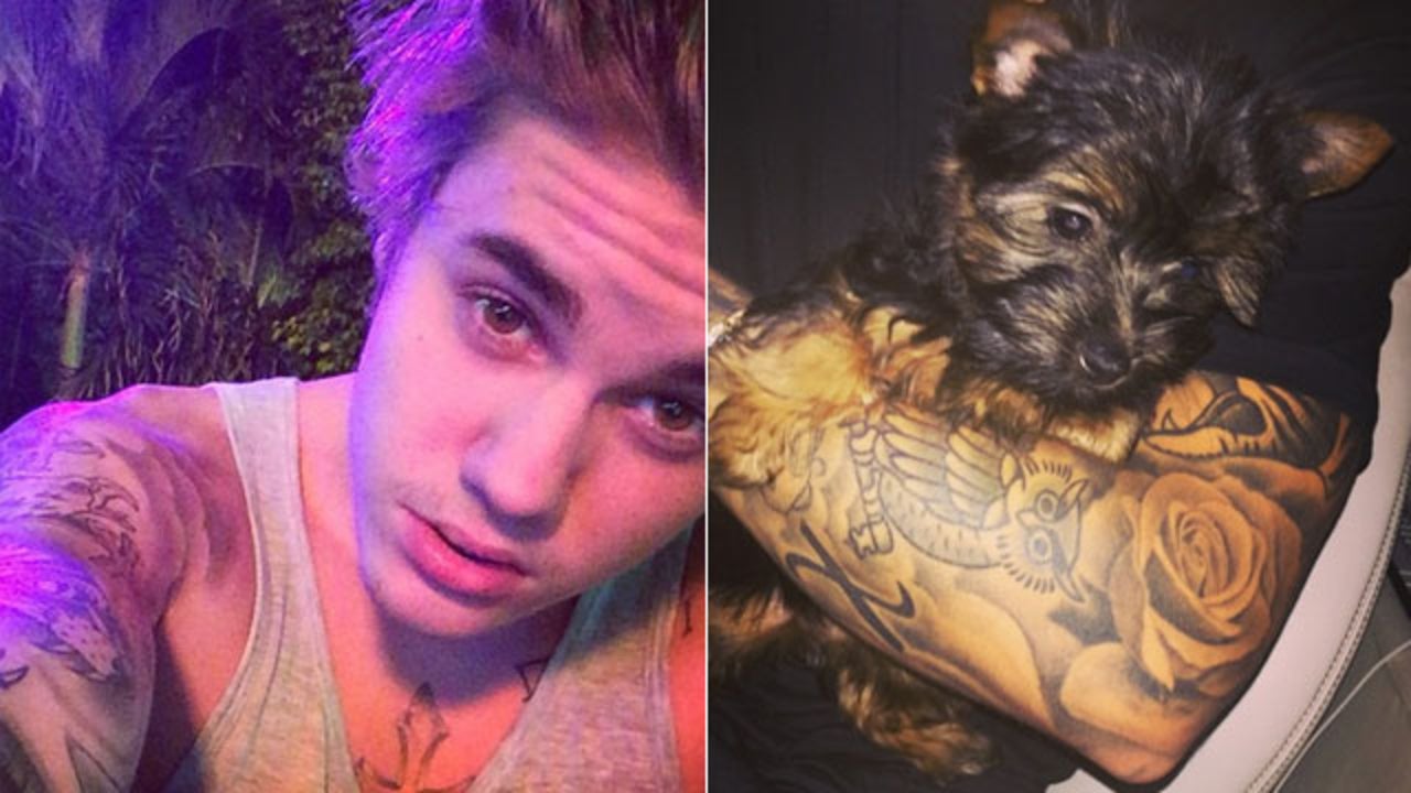 Meet Justin Bieber's New Puppy! | Entertainment Tonight
