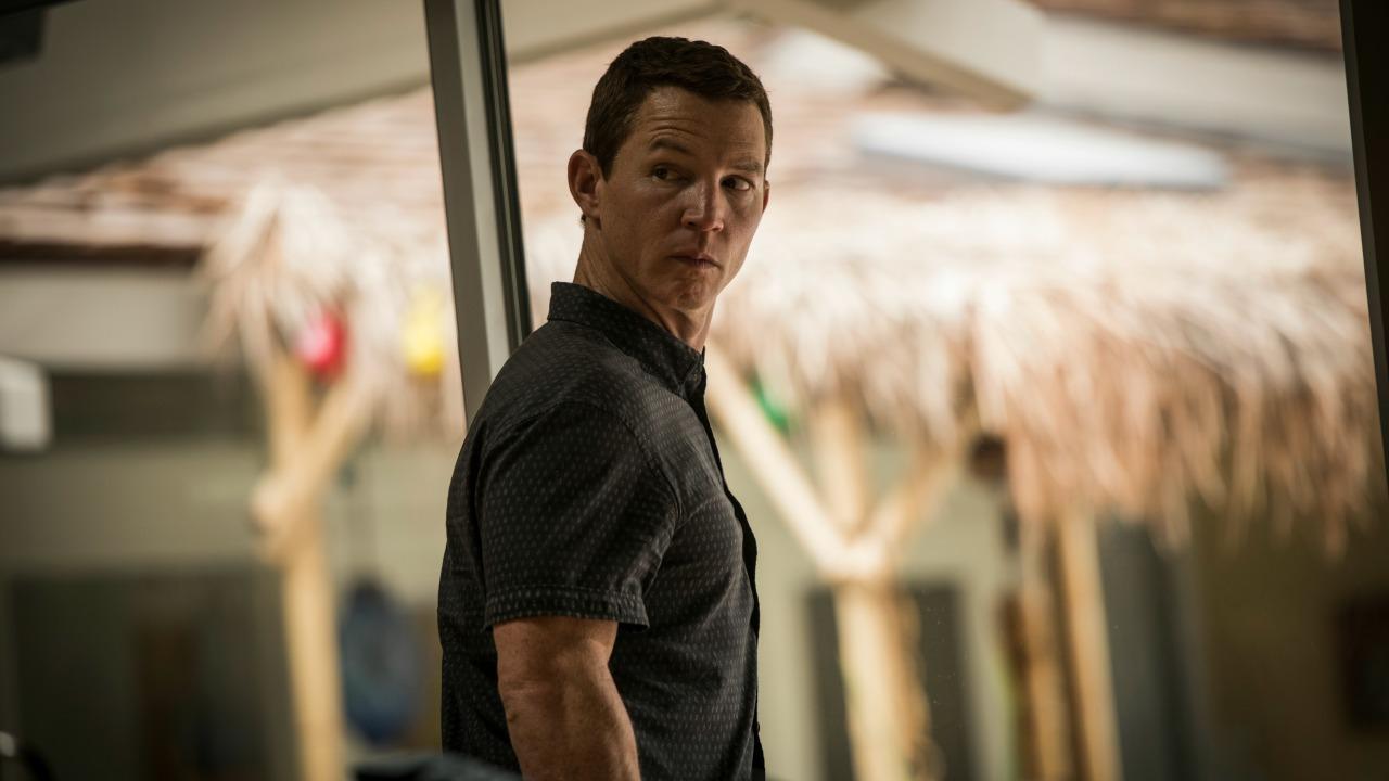 Animal Kingdom' Star Shawn Hatosy on Traumatic Penultimate Episode: This  'Puts a Mark on Everybody's Backs' | Entertainment Tonight
