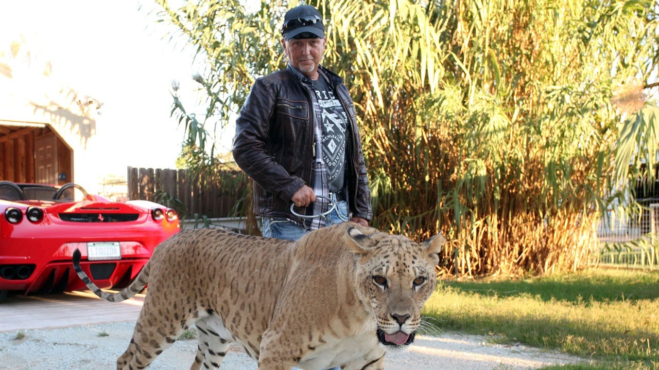 ‘Tiger King’s Jeff & Lauren Lowe Have Over 60 Big Cats Seized in Raid
