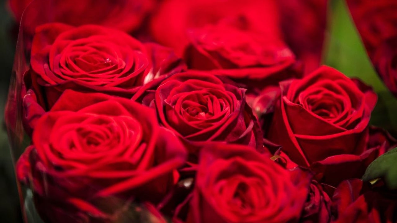 The Best Online Flower and Plant Delivery Services to Gift This Valentine's Day - Vimarsana News