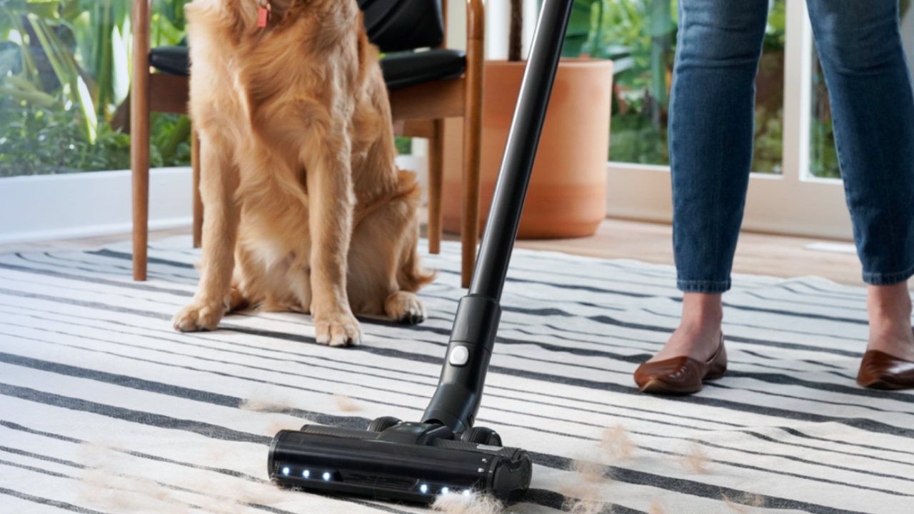 The Best Cordless Vacuums of Fall 2022: Roomba, Levoit, Dyson, Bissell and More