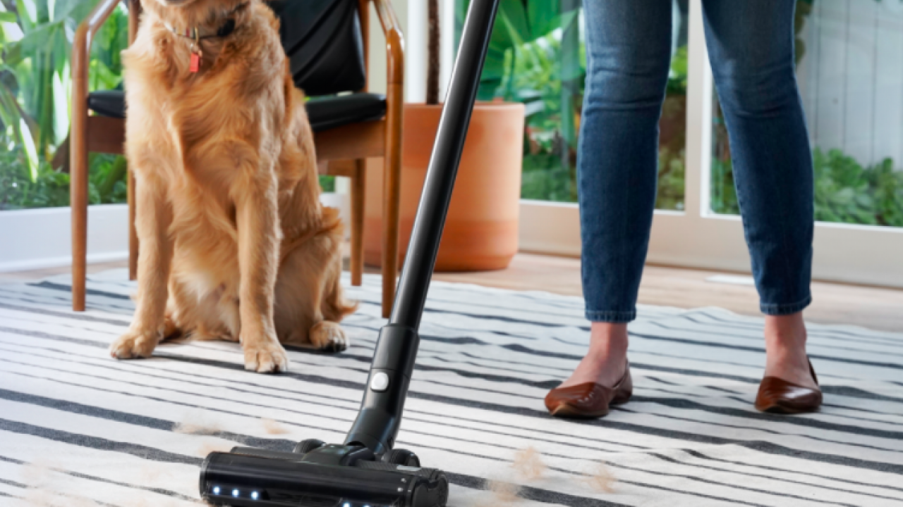 Best Cordless Vacuums 2022: Levoit Launches New Stick Vacuum Cleaner With Auto Mode - Vimarsana News