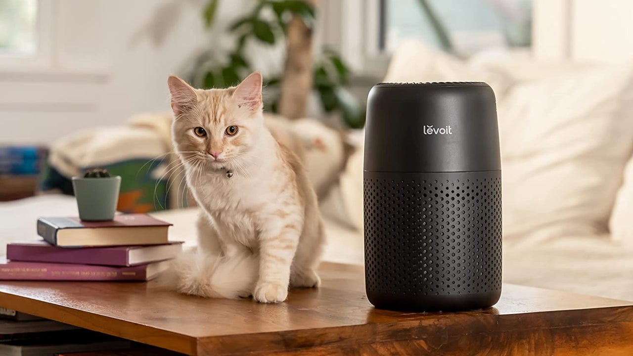 The 11 Best Air Purifier Deals on Amazon: Save Now on Levoit, Coway and More - Vimarsana News