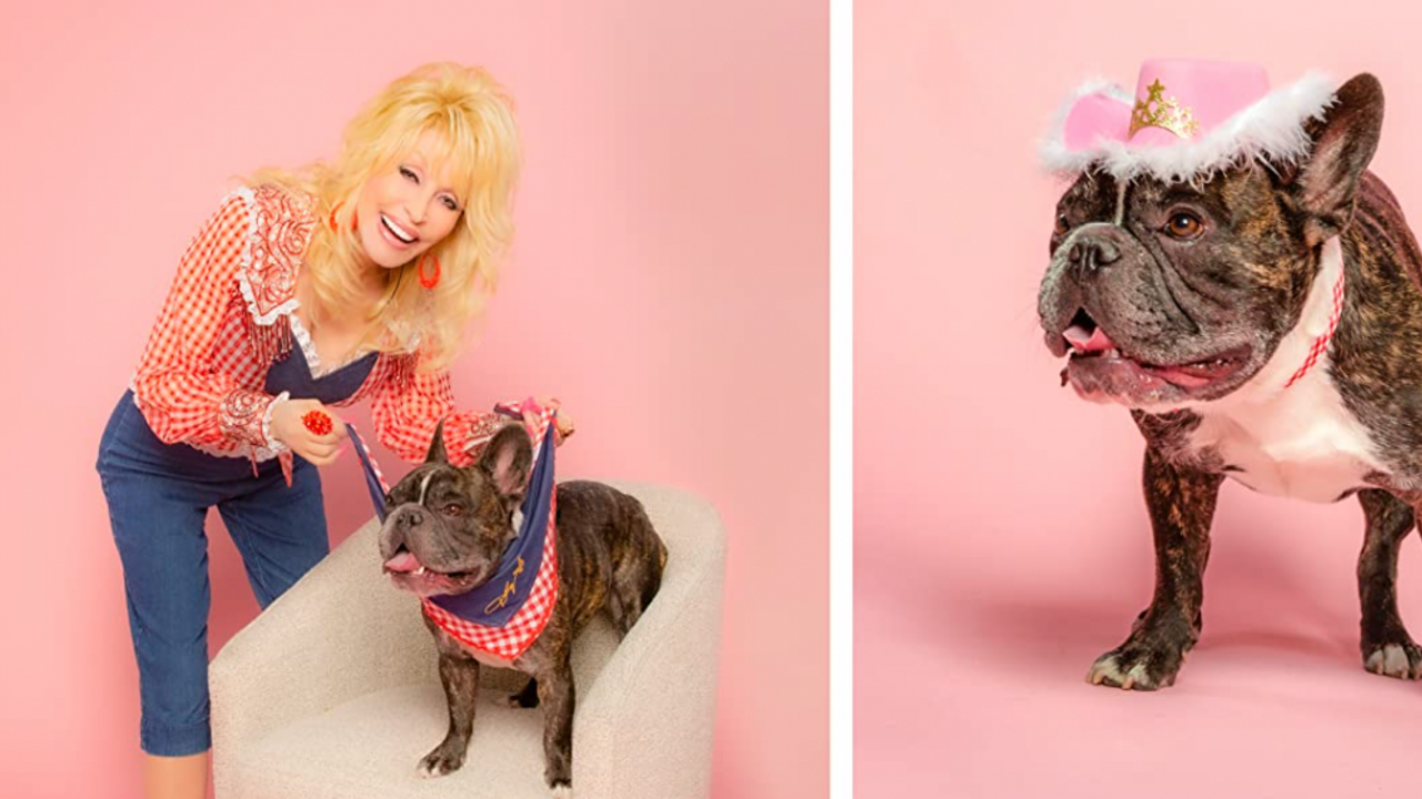 Dolly Parton Unveils A Brand-New Pet Collection at Amazon: Shop Dolly-Inspired Toys, Collars and More