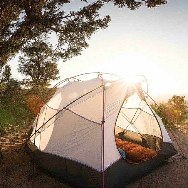 Camp