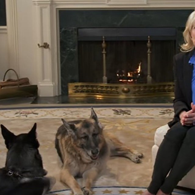 Jill Biden with her dogs, Champ and Major