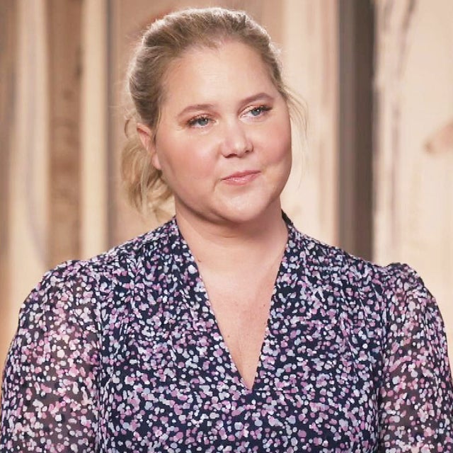 Amy Schumer Claps Back at Critics Who Commented on Her 'Puffier' Face