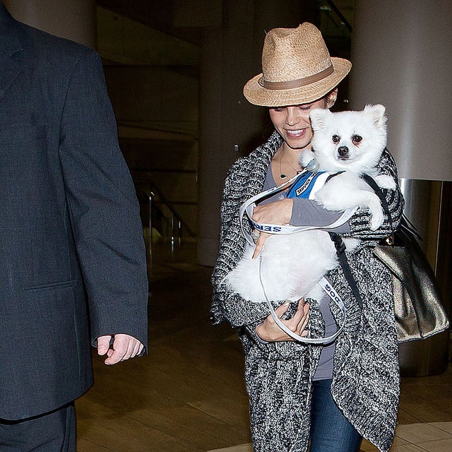 Jenna Dewan holds Meeka while walking through the Los Angeles International Airport in a photo from 2013