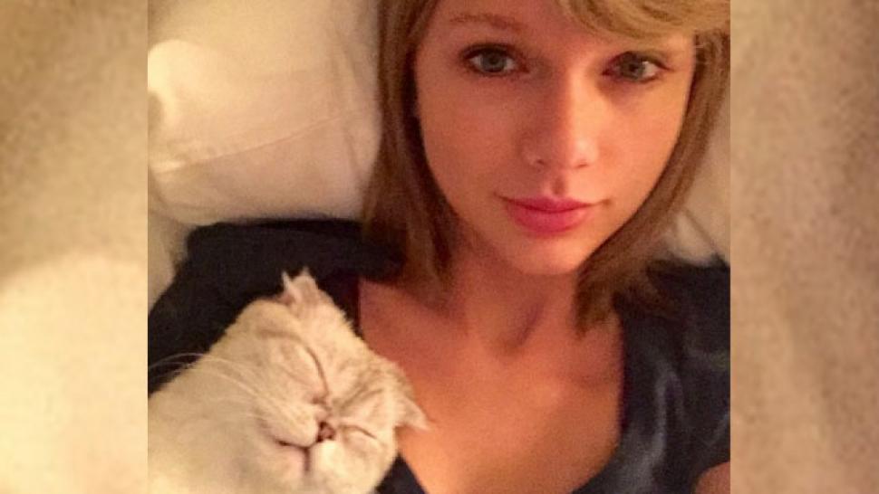 Taylor Swift Says Her Cat Owes Her 40 Million Entertainment Tonight