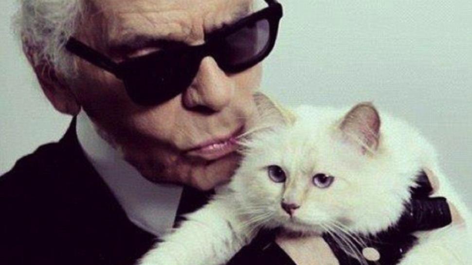 karl lagerfeld cat sandals