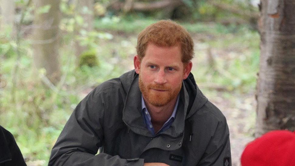 Prince Harry chats with children at Myplace at Brockholes Nature Reserve