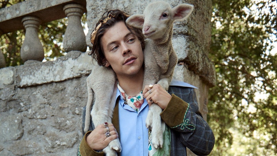 Harry Styles Gucci campaign with animals 1280