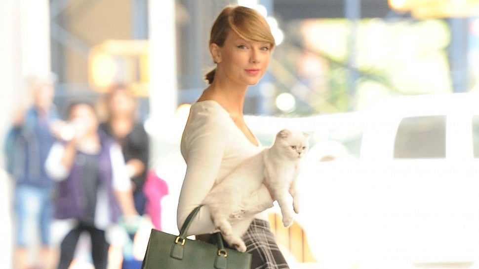 What Role Is Taylor Swift Playing In Cats Andrew Lloyd