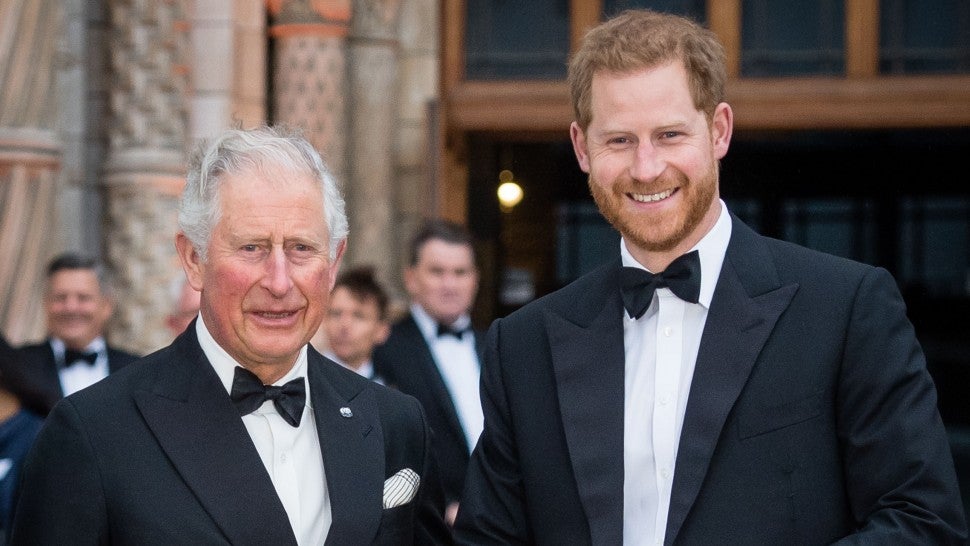 Prince Harry and Meghan Markle's Kids Had Emotional Meeting With Prince Charles and Camilla.jpg