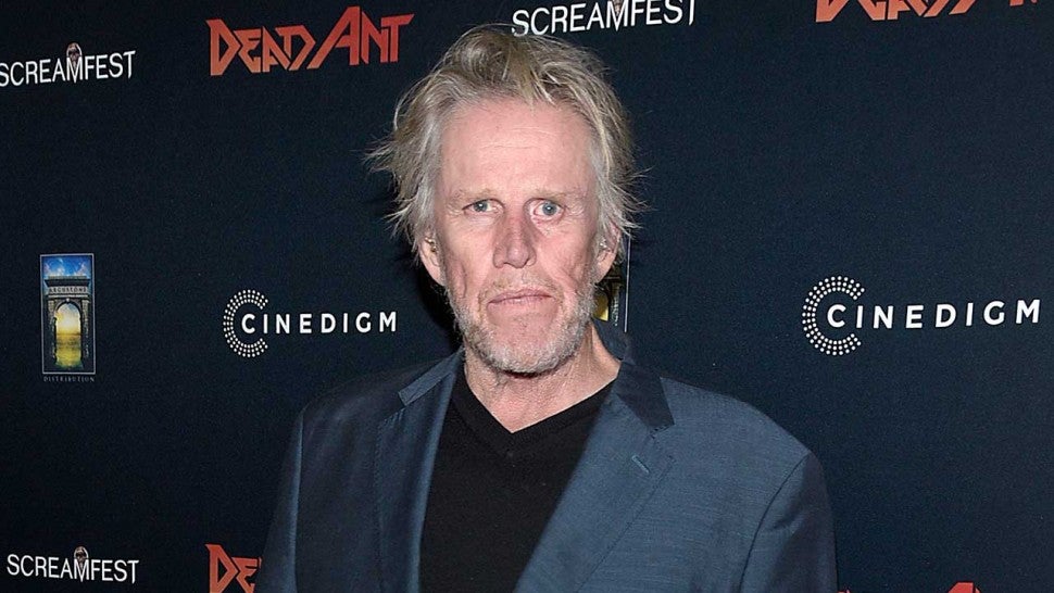 Gary Busey Says He Died During Brain Surgery and Then Came