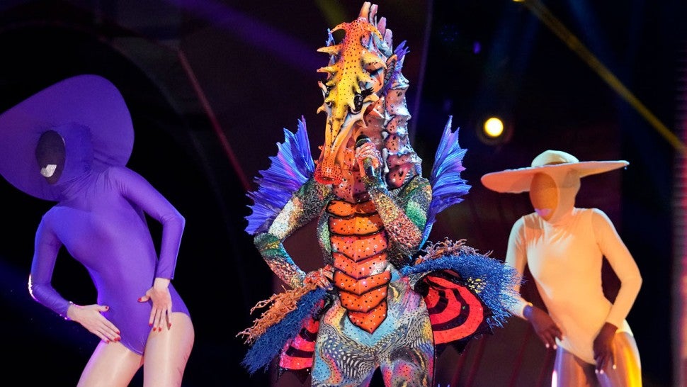 The Seahorse on The Masked Singer