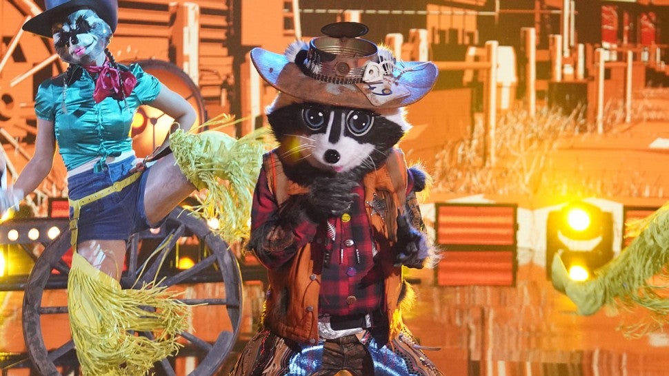 The Raccoon on The Masked Singer