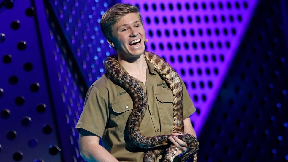 Watch Robert Irwin Wrangle a Snake From the Road Bare-Handed.jpg