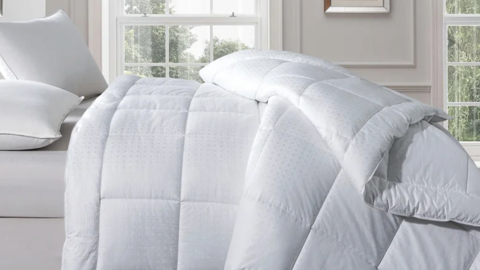 Wayfair Best-Selling Comforter