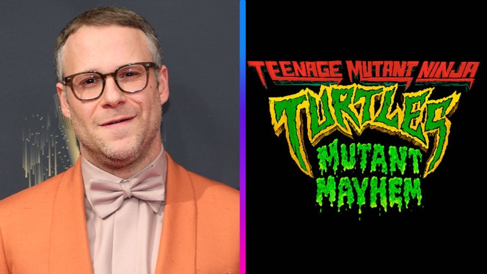 Seth Rogen, Teenage Mutant Ninja Turtles