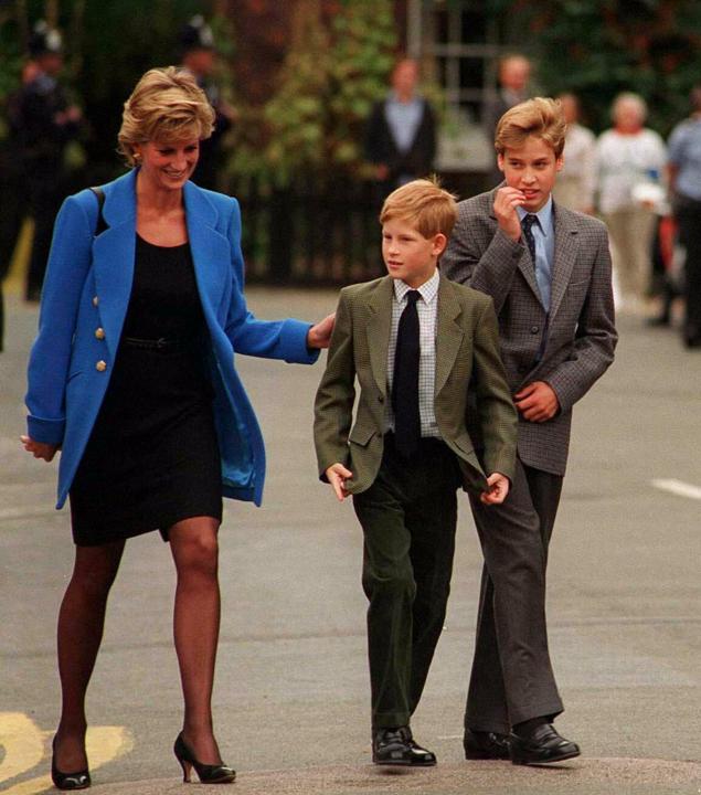 Princess Diana and her sons