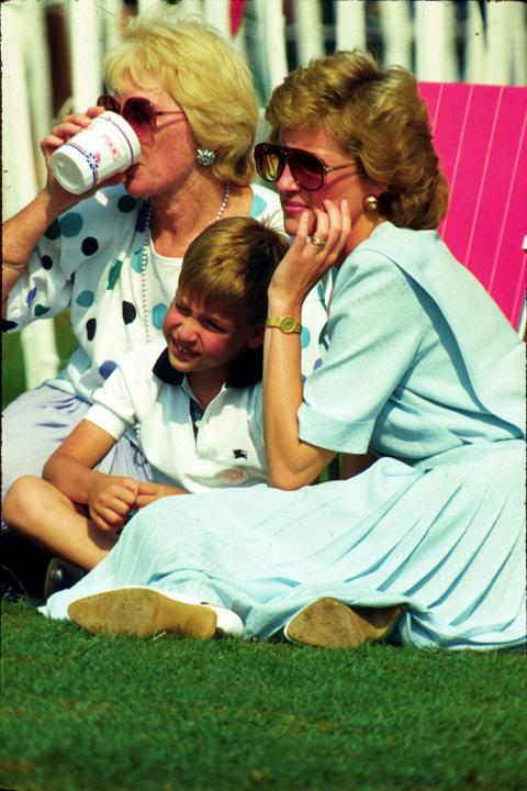 Prince William and Princess diana watch polo match