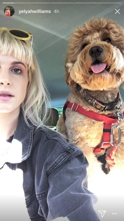 Hayley Williams and Alf