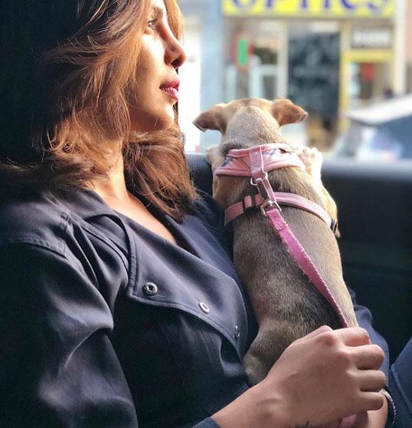 Priyanka Chopra and her dog Diana