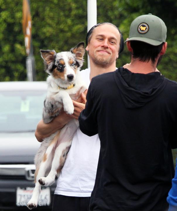 Charlie Hunnam with dog