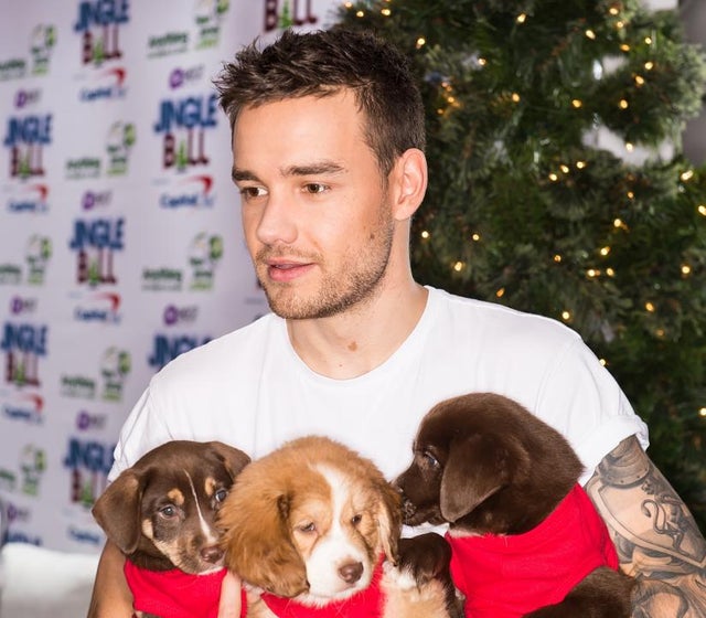 Liam Payne at Jingle ball with puppies