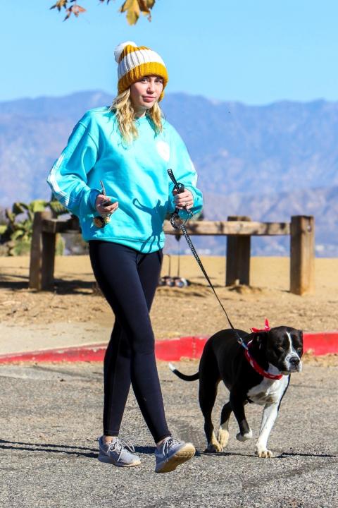 Miley Cyrus walks her dog Mary Jane