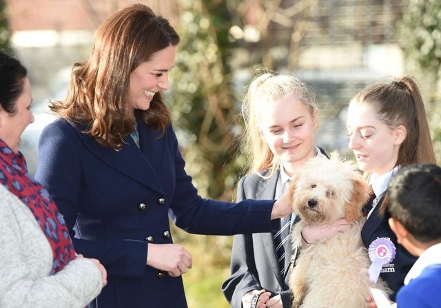 Kate Middleton meets dog in London