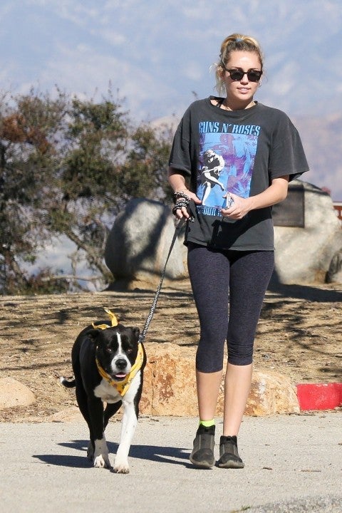 Miley Cyrus hikes with dog Jane