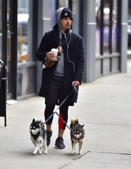 Joe Jonas walks his dogs