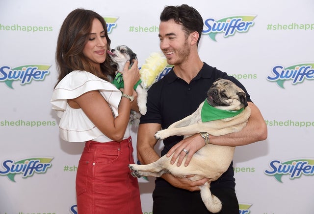 Danielle and Kevin Jonas at pet adoption event