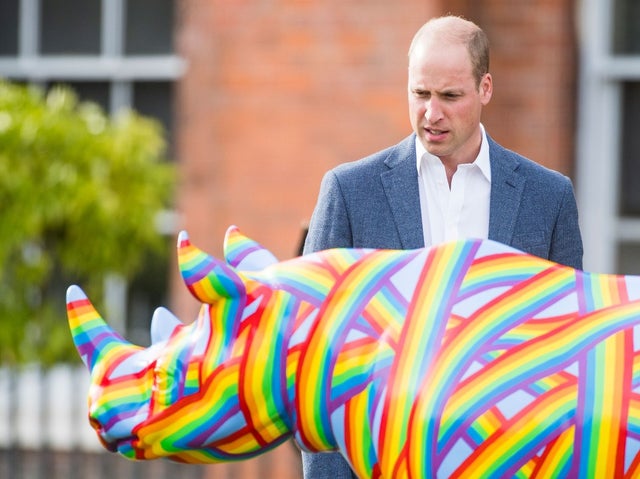 Prince William looking at tusk rhino trail